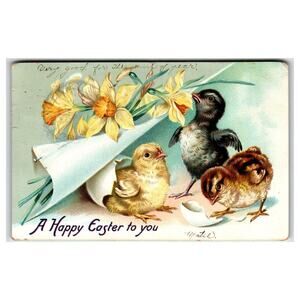 Raphael Tuck Easter Postcard Chicks Daffodils Matil. Art Printed in Saxony 1907
